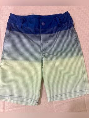 art class Blue to Green Ombre Striped Swim Trunks